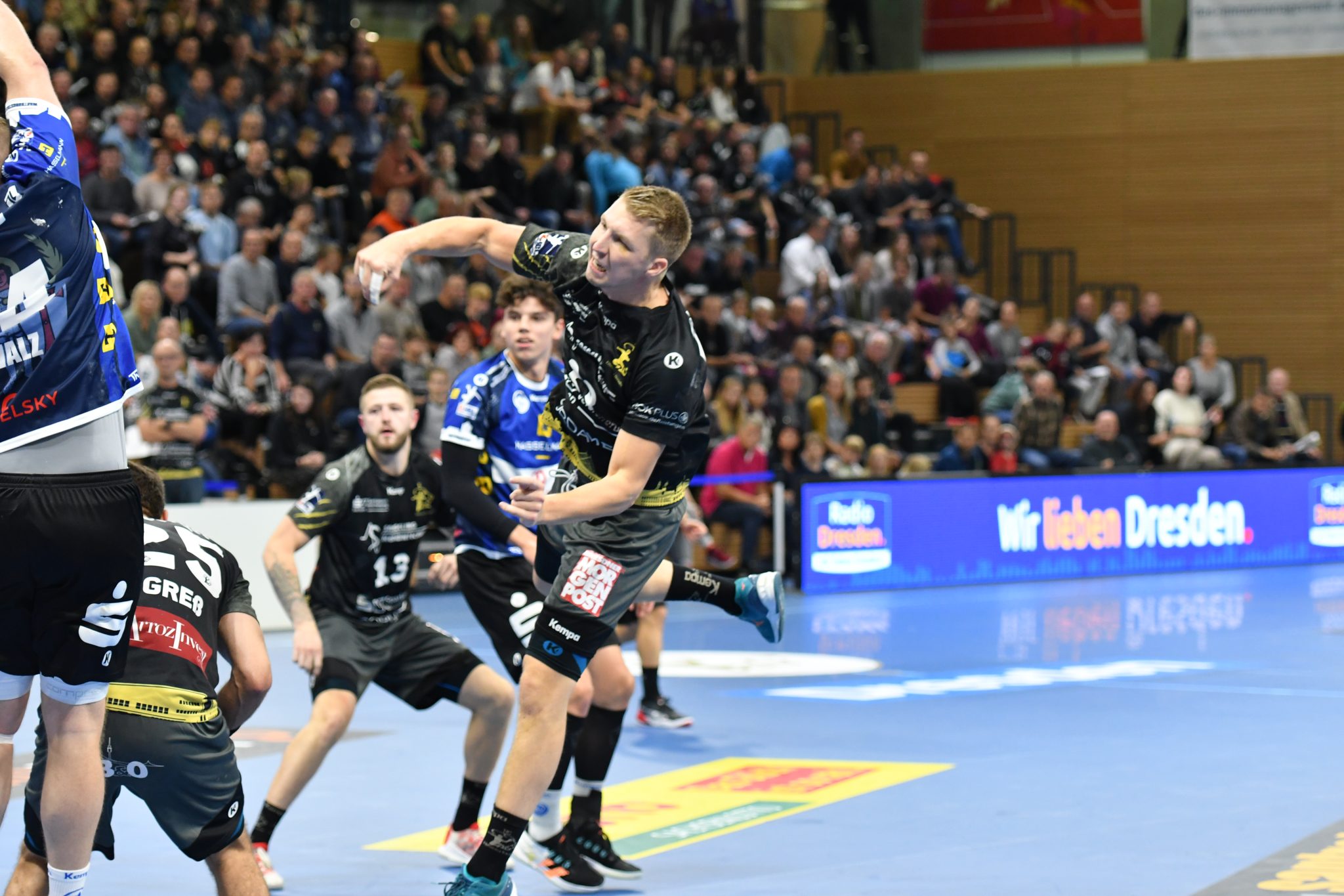 BallsportARENA Dresden - Jungtiger HC Elbflorenz